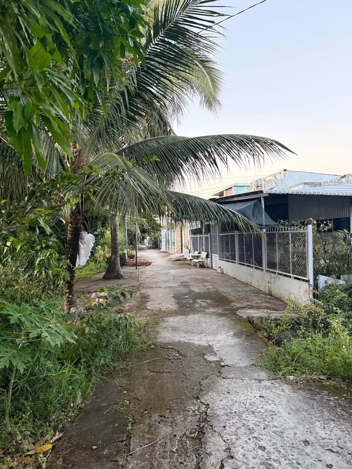 Đất nền Nguyễn Thị Minh Khai, Vị Thanh 200m² giá 560 triệu - Cơ hội đầu tư hấp dẫn!