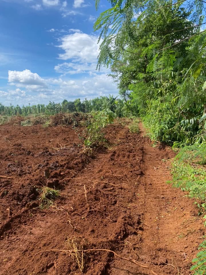 Đất nền Cuôr Đăng 1656m² - Gần đường liên xã, KCN, giá thỏa thuận!