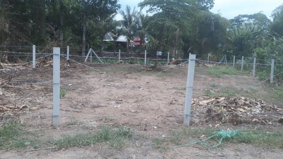 Đất nền biệt thự 229m² tại phường Mỹ Trà, Đồng Tháp - Giá chỉ 1.3 tỷ, đầu tư sinh lời cao!