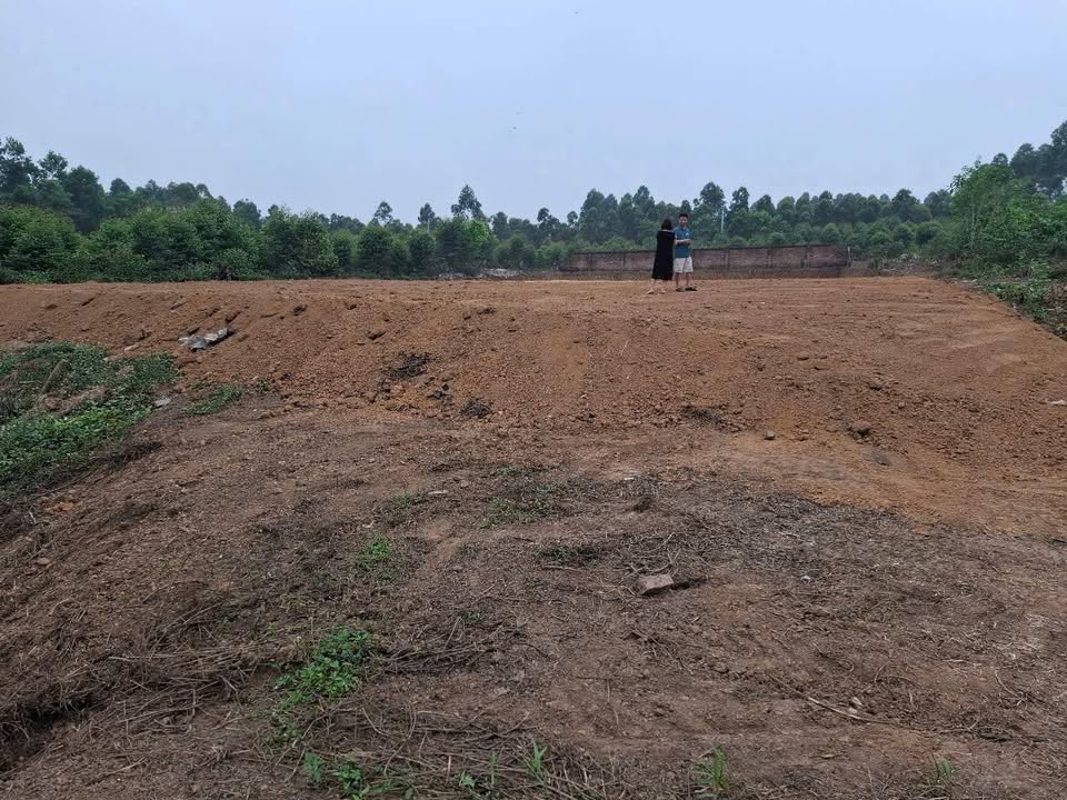 Đất nền 1450m² tại khu phố 8, Việt Trì, Phú Thọ - Đầu tư sinh lời hiệu quả!