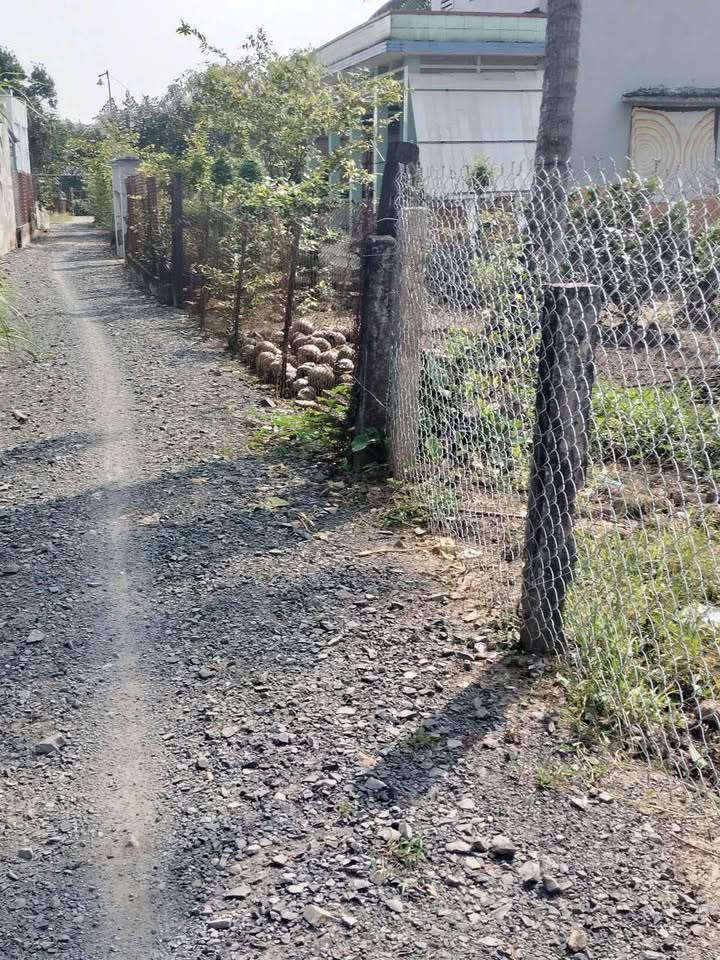 Đất nền ấp Bình Hòa Đông, Gò Công Tây 260m² giá 500 triệu - Sổ đỏ chính chủ