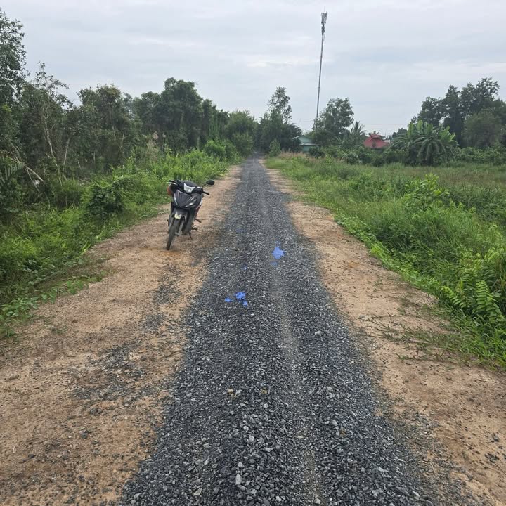 Đất nền Tân Hòa Đông, Tân Phước 52m² giá 1.65 tỷ - Đất gò cao ráo, không mồ mã!