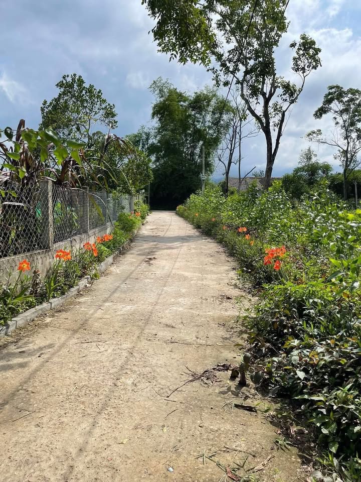 Đất ở Quế Phú, Quế Sơn 150m² giá 200 triệu - Cơ hội đầu tư hấp dẫn!