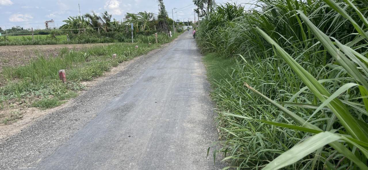 Đất vườn 500m² mặt tiền đường N10 xã Thành Công, Gò Công Tây, Tiền Giang - Giá chỉ 700 triệu!