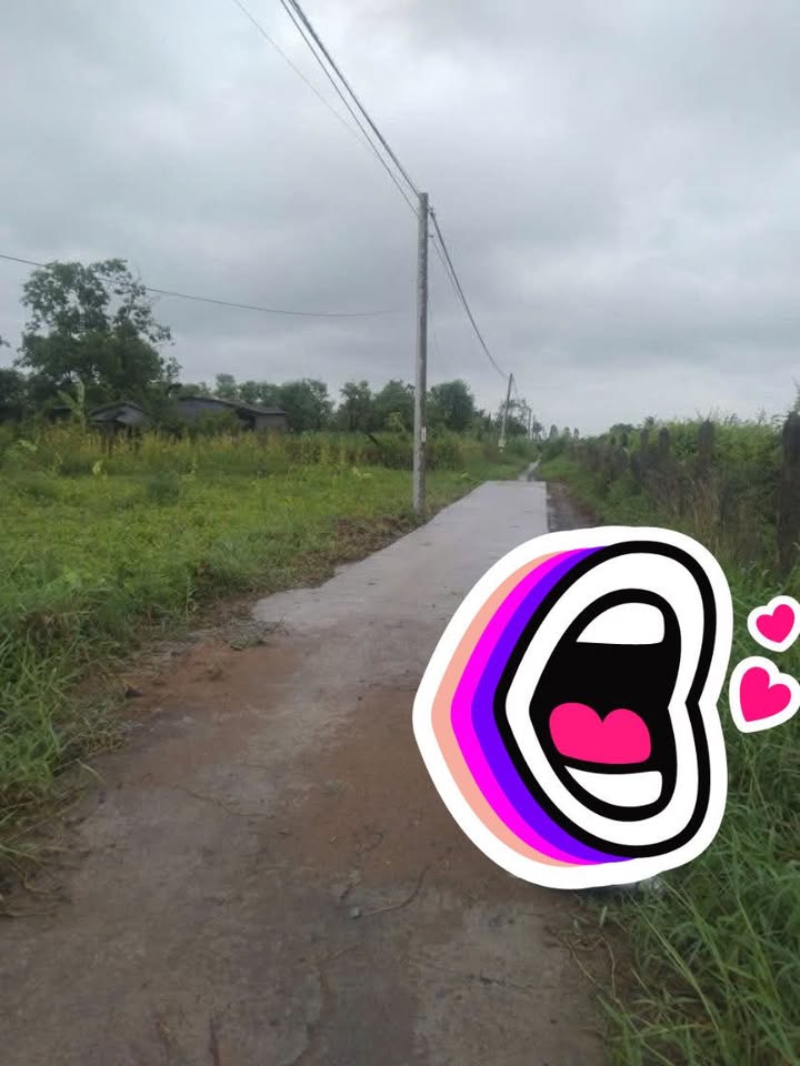 Đất thổ cư 142m² tại Gò Công Đông, Tiền Giang giá chỉ 250 triệu - Đầu tư lý tưởng!