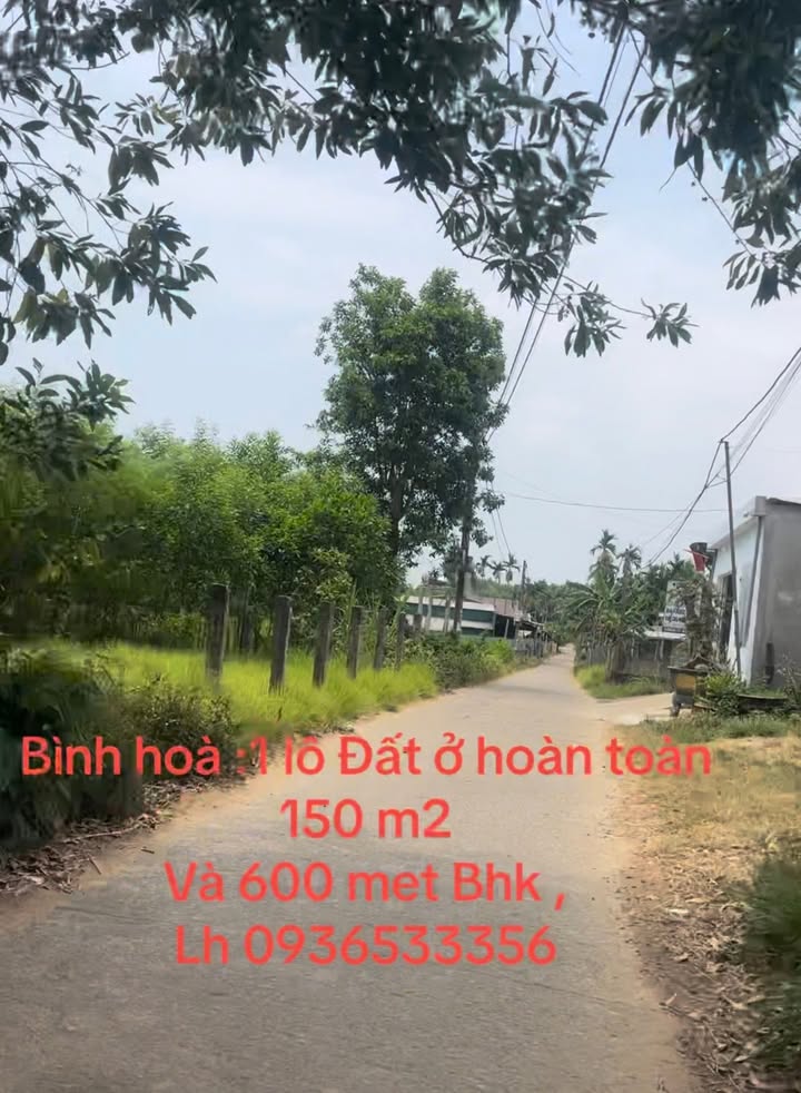 Đất thổ cư Bình Hòa 750m² giá 800 triệu - Đường ô tô thông thoáng, xây nhà vườn lý tưởng!