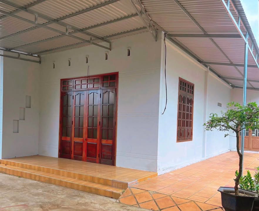 Nhà mặt tiền bê tông tại Tân Hoà, Cư Kuin 370m² giá 7.4 tỷ - Đầu tư sinh lời ngay!