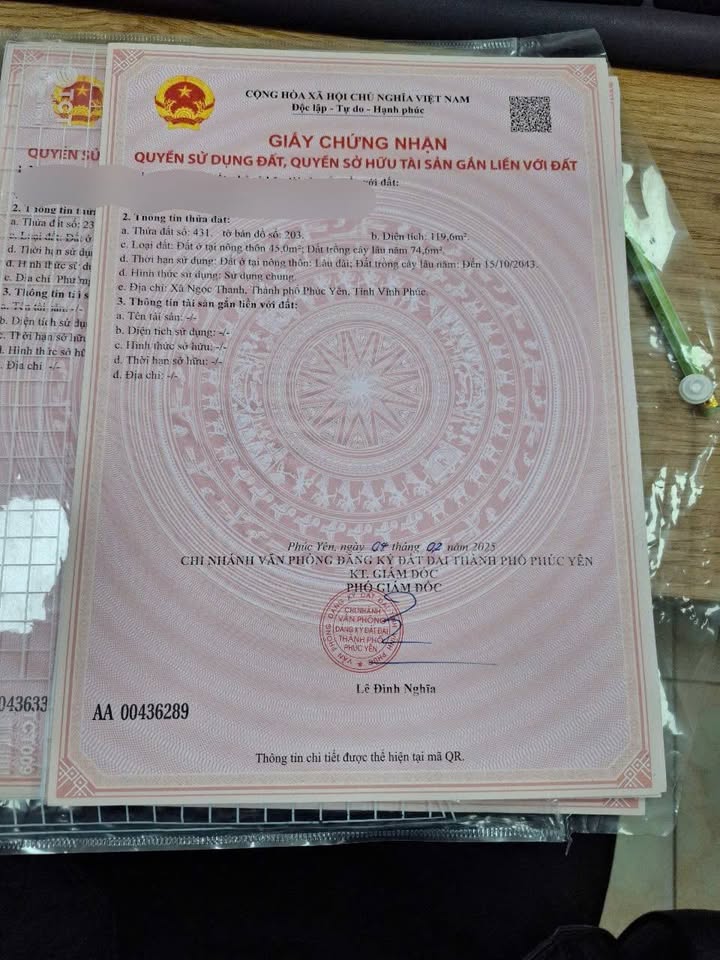 Đất nền Ngọc Thanh, Phúc Yên 119m² giá 1 tỷ - Cơ hội đầu tư tuyệt vời!