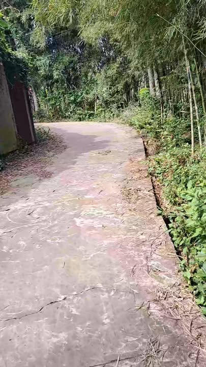 Đất nền Suối Nghệ Châu Đức 5238m² - Cơ hội đầu tư hấp dẫn!