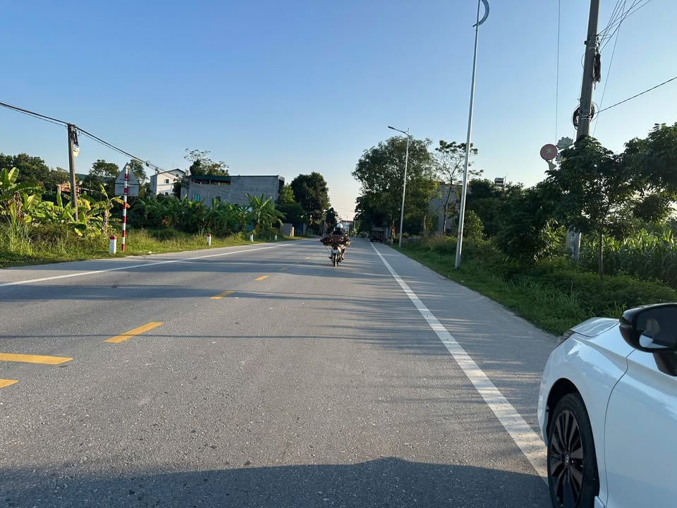 Đất kinh doanh mặt tiền 6m Tỉnh Lộ 305 Văn Quán, 168m² - Cơ hội đầu tư tuyệt vời!