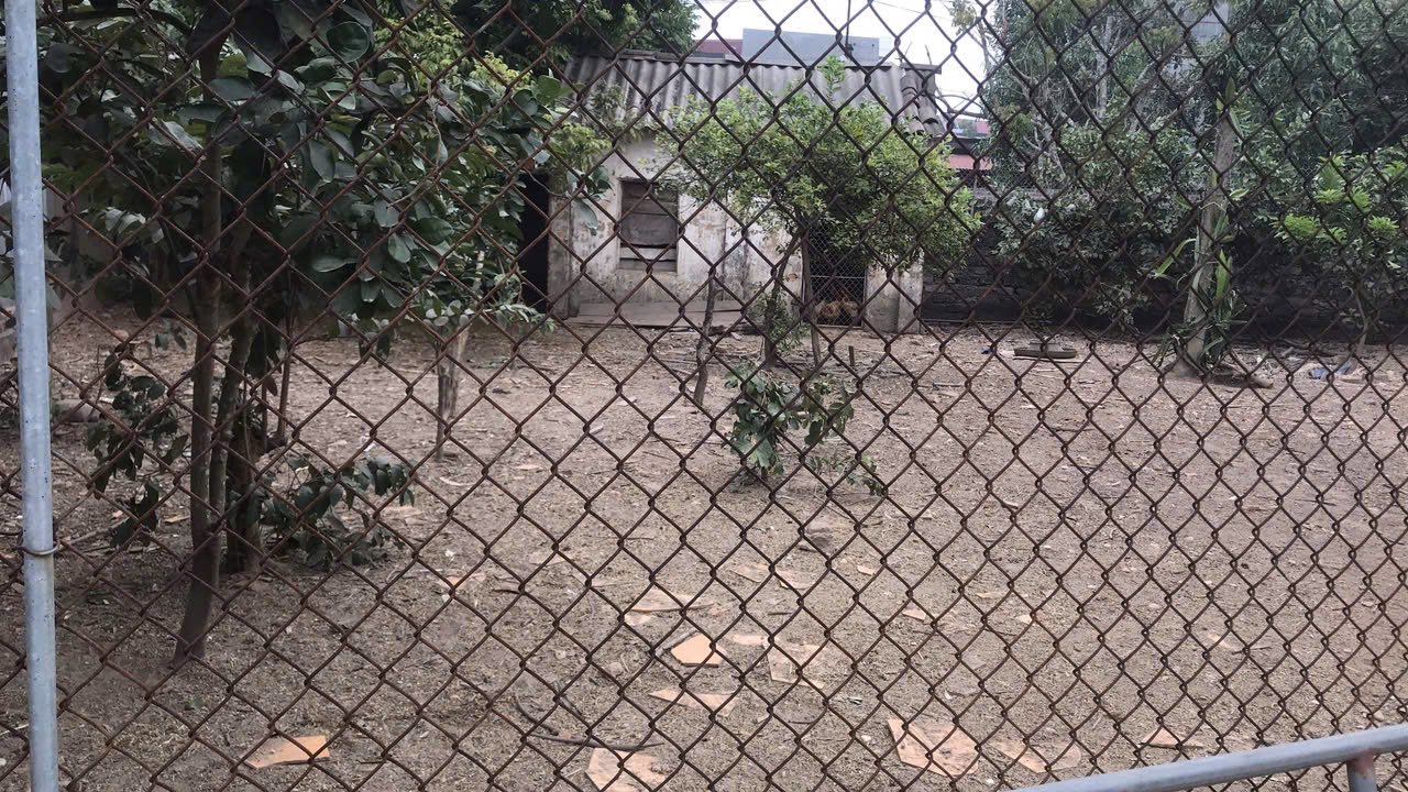 Đất nền Lan Giới Tân Yên 210m² giá 1 tỷ - Trung tâm tiện ích đa dạng!