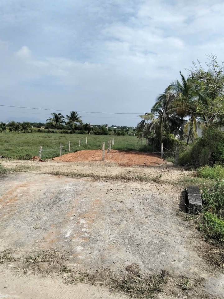 Đất thổ cư mặt tiền kênh N29 Thôn 5 giá 590 triệu - Tiềm năng đầu tư cao!