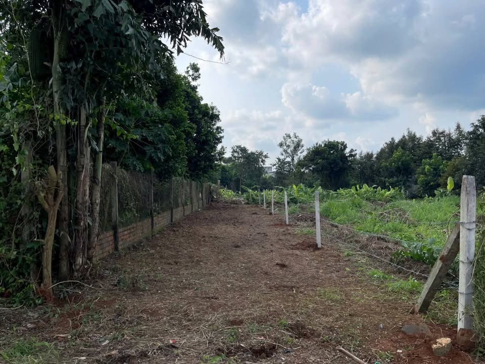 Đất nền 150m² Đường Nhựa, P Bình Lộc, Long Khánh - Giá chỉ 1.1 tỷ!