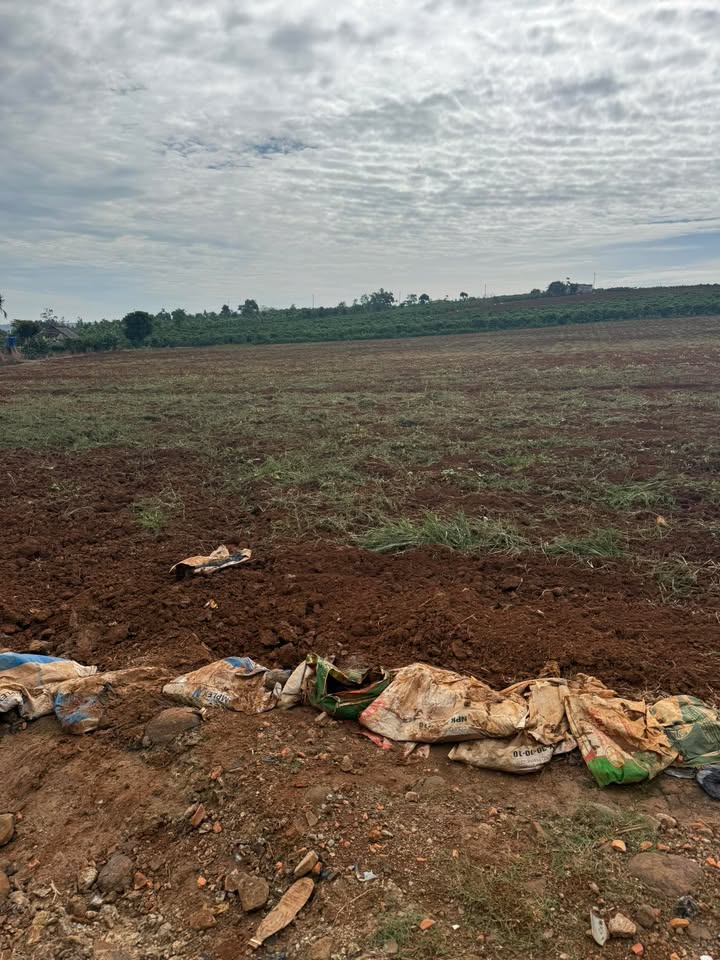 Đất nông nghiệp Phúc Thọ Lâm Hà 18.000m² giá 2.75 tỷ - Sổ đỏ chính chủ, thương lượng tốt!