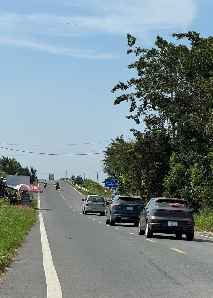 Đất nền 8,5 x 40m gần cầu Xuyên Á, Đông Thái, An Giang - Đầu tư sinh lời ngay!