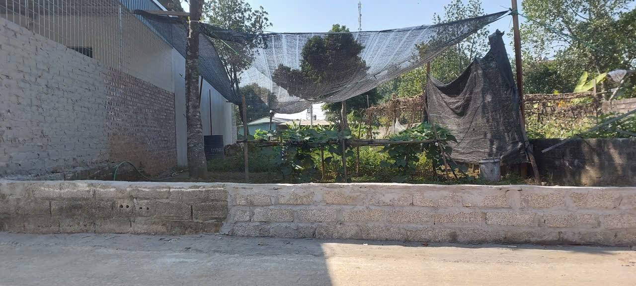 Đất Đồi Vua – Sơn Đông 142m² giá 2 tỷ - Cơ hội đầu tư tuyệt vời!