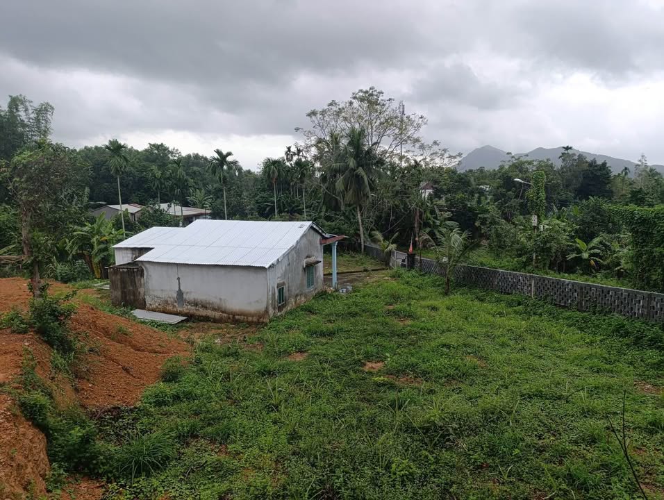 Đất nền Hòa Phú Đà Nẵng 2500m² giá 5 tỷ - Cơ hội đầu tư tuyệt vời!