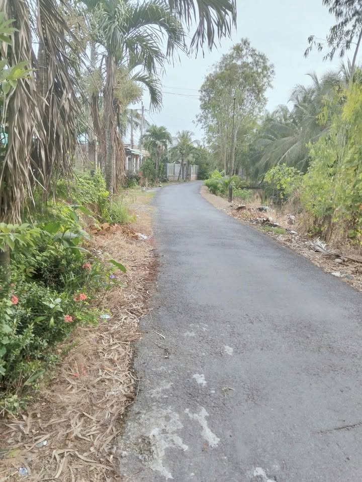 Đất Bán Mặt Tiền Nhựa 2000m² Xã Song Bình - Giá 1.15 Tỷ VND