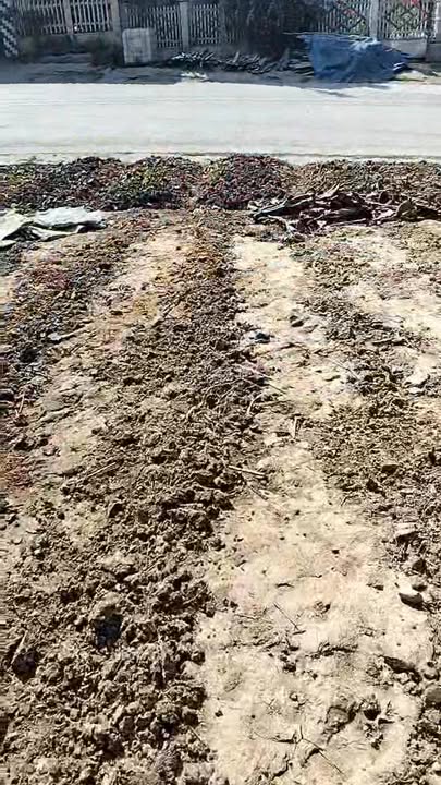 Đất nền mặt tiền Quốc lộ 70B, Thanh Sơn, 600m² - Cơ hội đầu tư tuyệt vời!