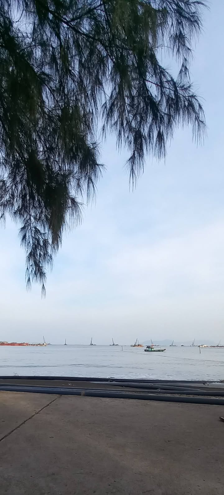 Đất thổ cư mặt tiền đường Giòng Ao Cần Giờ 120m² - Cơ hội đầu tư sinh lời!