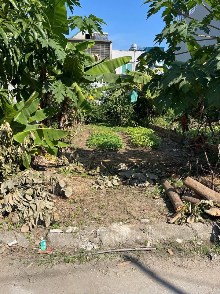 Đất Vân Tra An Đồng 100m² giá 2.2 tỷ - Cơ hội đầu tư tuyệt vời!