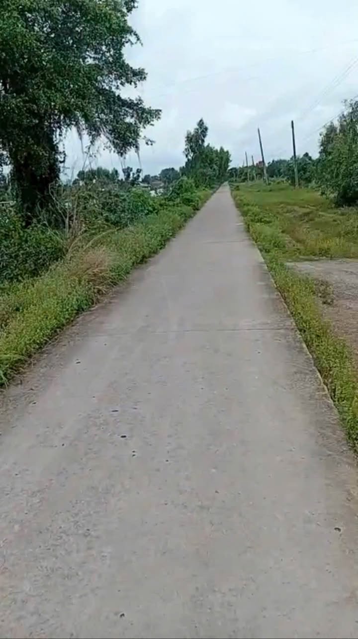 Đất nông nghiệp 50 công tại Ấp Cỏ Quen, Phú Lợi, Giang Thành - Giá thỏa thuận hấp dẫn!