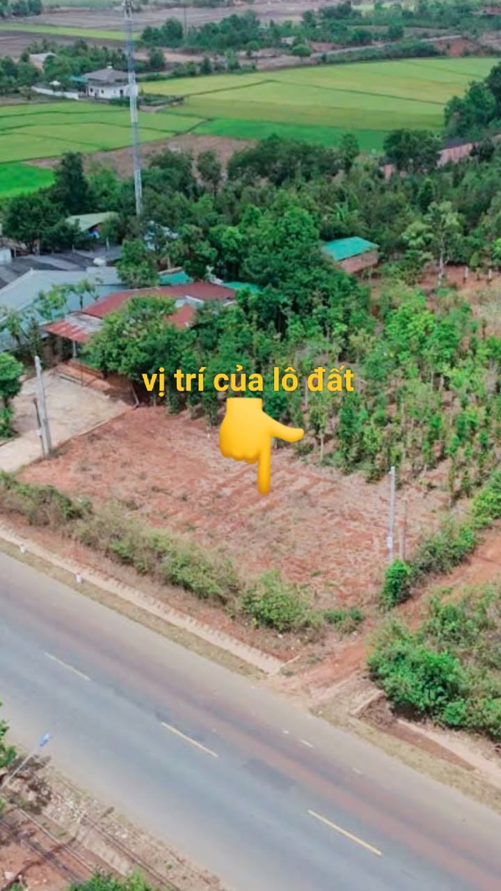 Đất nền thổ cư 900m² tại Hòa Phú, Gia Lai - Giá chỉ 2 tỷ!