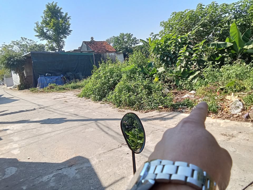 Đất đấu giá Tràng Cát, Kim An 127m² giá 3.8 tỷ - Cơ hội đầu tư tuyệt vời!