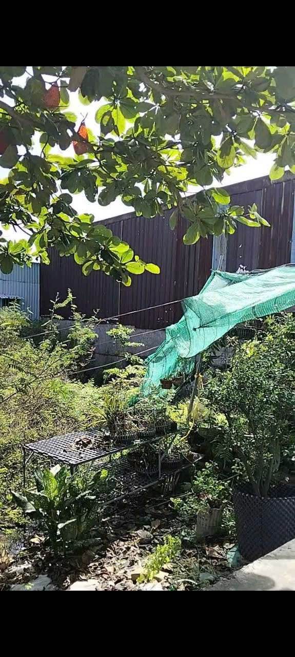 Đất nền 72m² đường Quách Điêu, Bình Chánh - Giá 6.5 tỷ, bớt nhẹ cho khách thiện chí!