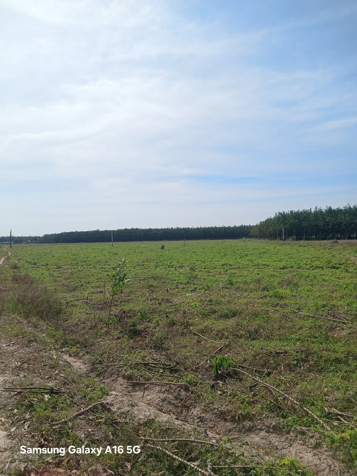 Đất nền Hảo Đước, Châu Thành 20,000m² - Bán gấp chính chủ giá thỏa thuận!