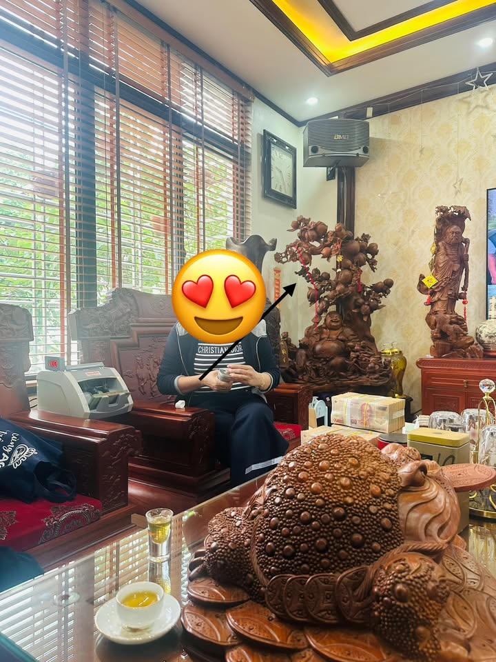 Đất nền Tiền Phong Bắc Ninh 80-110m² giá từ 1-5 tỷ - Cơ hội đầu tư sinh lời!