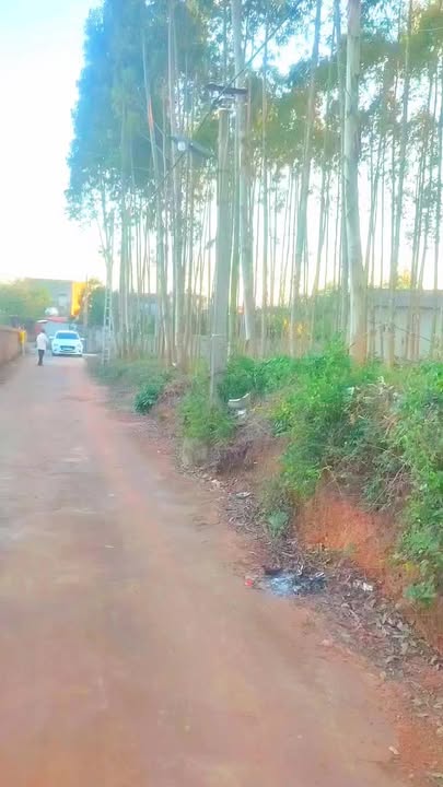 Đất nền Tam Dị Lục Nam 1150m² - Mặt tiền rộng 30m, đầu tư sinh lời!