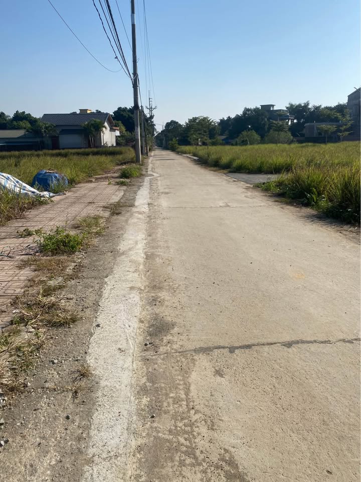 Đất thổ cư Phú Cát Quốc Oai 121m² giá chỉ 3 tỷ - Cơ hội đầu tư tuyệt vời!