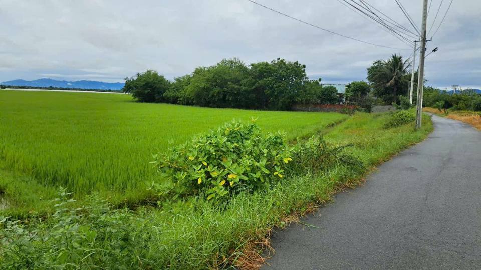 Đất mặt tiền đường nhựa Hộ Hải 8 Sào giá 2.5 tỷ - Cơ hội đầu tư tuyệt vời!