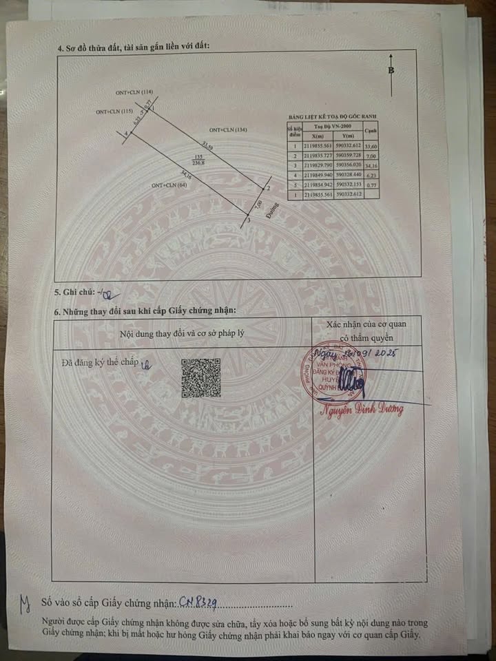 Đất nền Quỳnh Mỹ, Quỳnh Lưu 238m² giá 1 tỷ - Đường lớn, cơ hội đầu tư hấp dẫn!