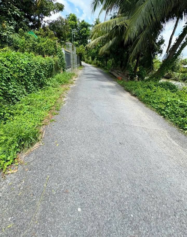 Đất nông nghiệp 5500m² phường Mỹ Trà, Đồng Tháp - Giá tốt chỉ 2.1 tỷ!