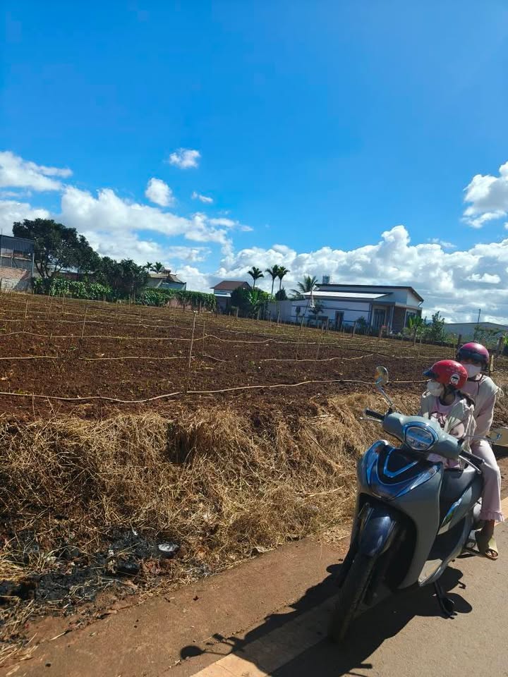 Đất nền Bồng Lai, Đức Trọng 768m² giá 4 tỷ - Tiềm năng đầu tư lớn!