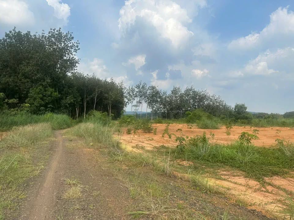 Đất thổ cư Đồng Tiến 3960m² giá chỉ từ 1xx triệu - Sổ đẹp vuông vức!