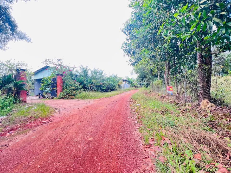 Đất nền Đồng Xoài 330m² giá 1.8 tỷ - Đối diện hồ câu Hoàng Long