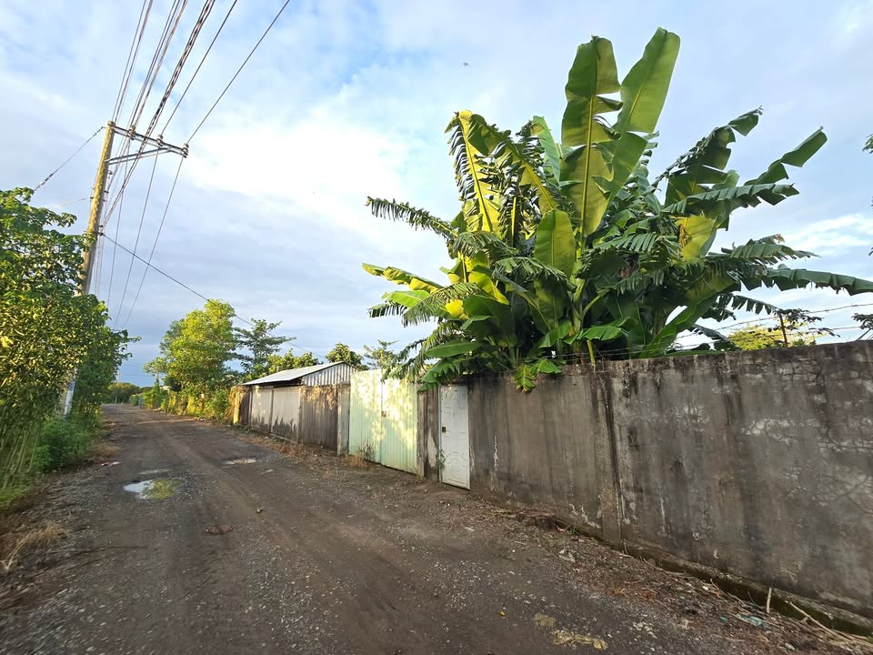 Farm đất và nhà yến 16.000m² tại Xuân Mỹ, Cẩm Mỹ - Giá 30.5 tỷ, thu nhập ổn định!