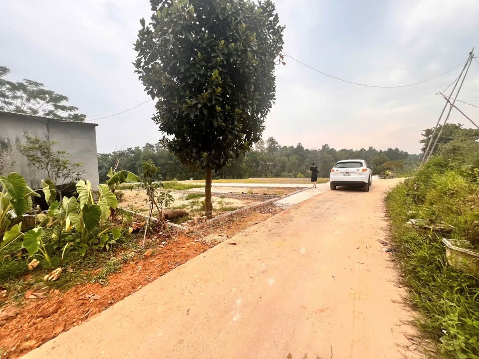 Đất thổ cư Trung Giã, Sóc Sơn 109m² giá chỉ 9xx triệu - Đầu tư sinh lời ngay!