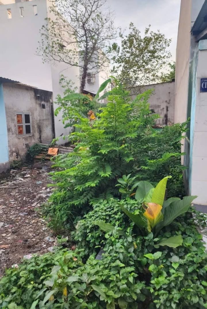 Đất chính chủ Tân Kiên, Bình Chánh 102m² giá 2.45 tỷ - Cơ hội đầu tư tuyệt vời!