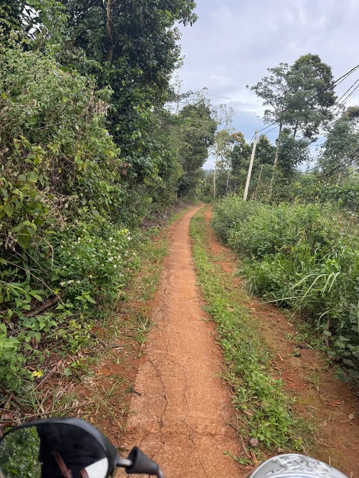 Đất nền Đắk Wer 700m² giá 500 triệu - Sổ đỏ chính chủ, vị trí đẹp!