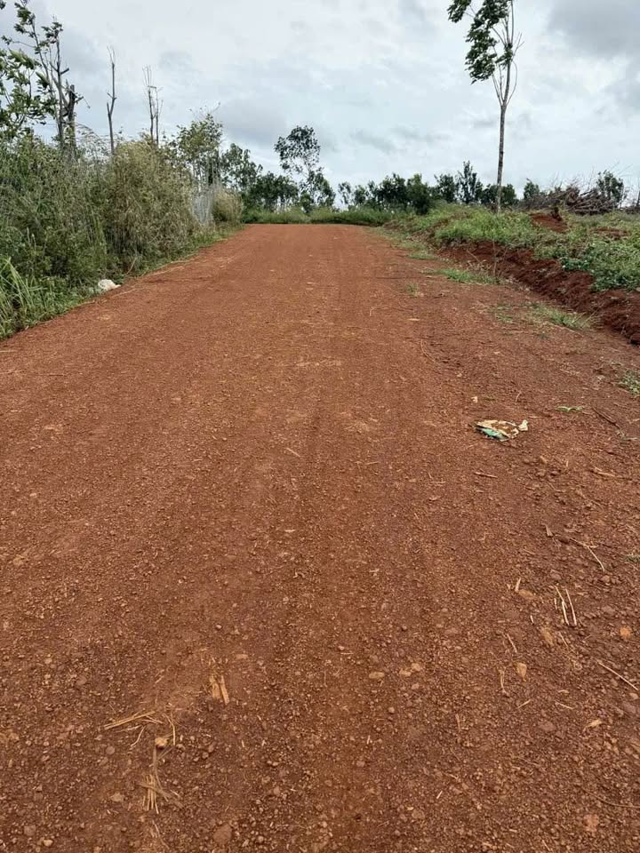 Đất nền thôn 10 Trường Xuân 1.7ha giá 2.6 tỷ - Sổ đỏ chính chủ, ô tô tận nơi!