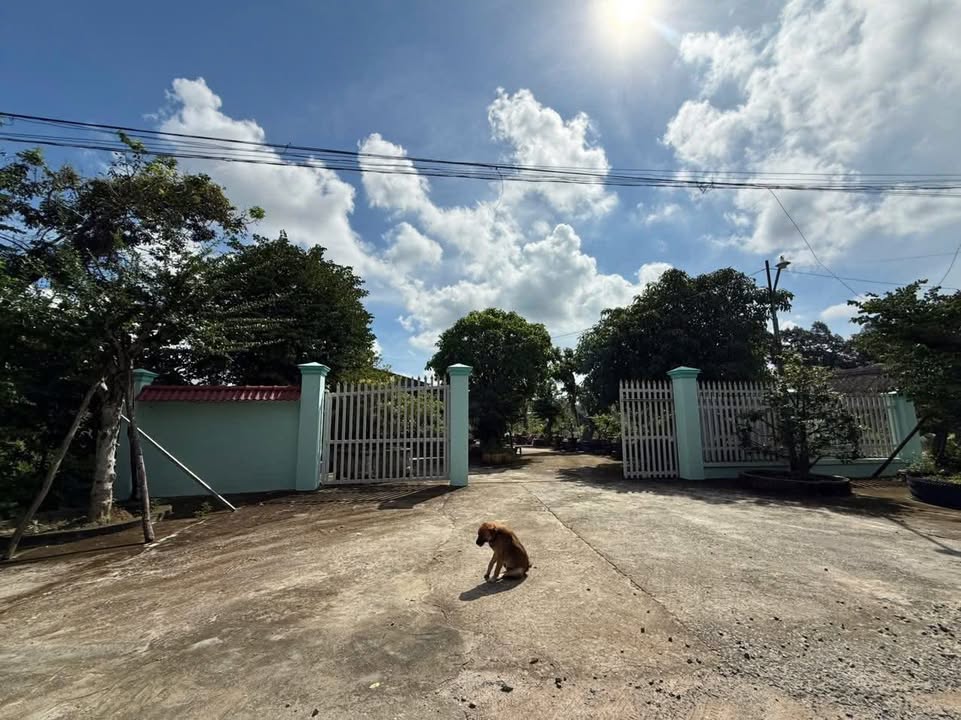 Đất thổ cư Thạnh Nam Tân Biên 2000m² giá 1 tỷ - Đầu tư sinh lời bền vững!