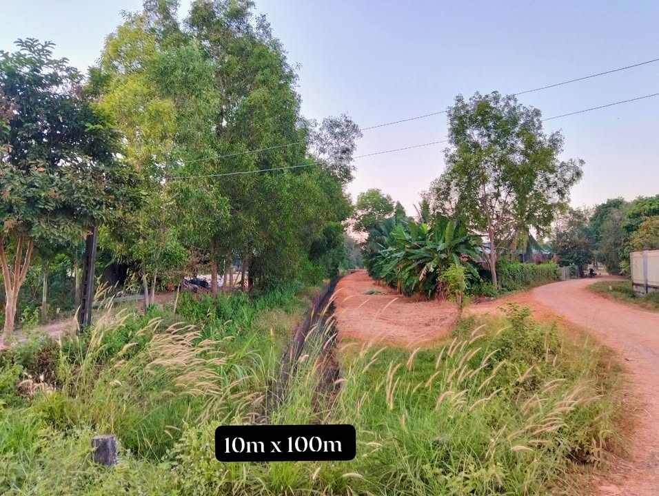 Đất nền 1000m² tại ấp Bàu Tép, Tây Ninh - Giá chỉ 299 triệu!