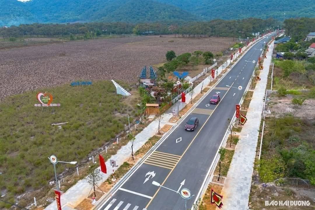 Đất nền 1000m² tại Lê Lợi, Trần Hưng Đạo, Hải Dương giá 3.75 tỷ - Sổ đỏ chính chủ!