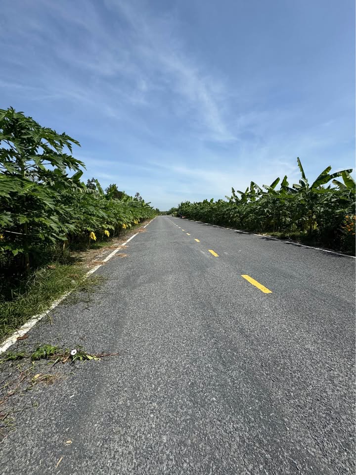 Đất nền Lộ 3B, huyện Châu Thành, 2600m² - Vị trí đắc địa cho kinh doanh