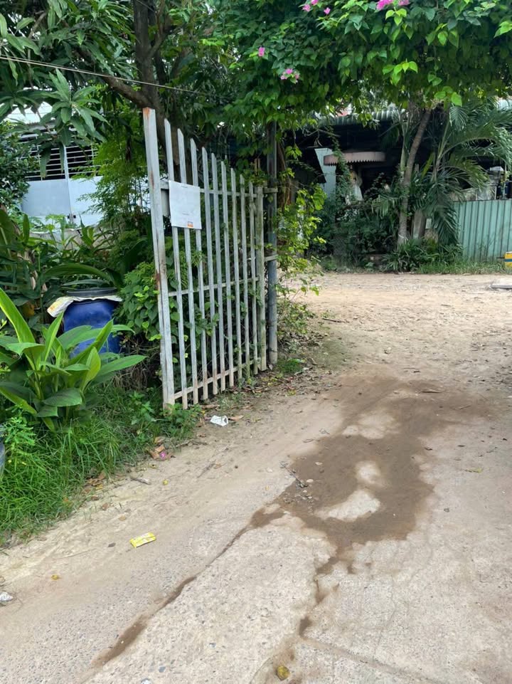 Đất sổ đỏ riêng tại Vĩnh Lộc A, Bình Chánh 136m² giá chỉ 2.2 tỷ - Cơ hội đầu tư tuyệt vời!