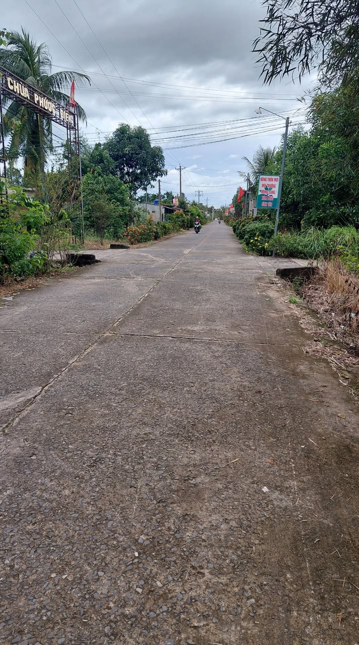 Đất nền Phú Hòa, Định Quán, Đồng Nai 135m² giá 420 triệu - Đầu tư sinh lời tốt!